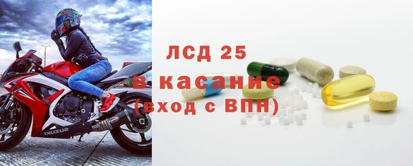 ПСИЛОЦИБИНОВЫЕ ГРИБЫ Вязники