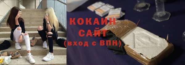 ПСИЛОЦИБИНОВЫЕ ГРИБЫ Вязники