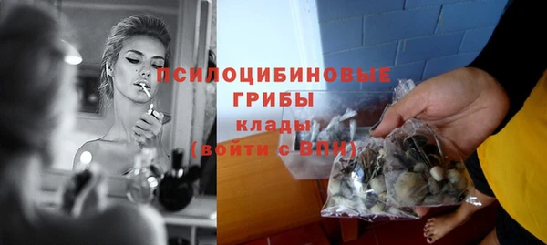 ПСИЛОЦИБИНОВЫЕ ГРИБЫ Вязники