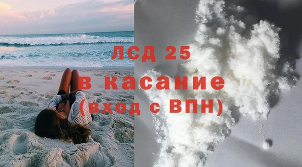 ПСИЛОЦИБИНОВЫЕ ГРИБЫ Вязники