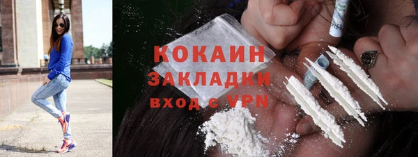ПСИЛОЦИБИНОВЫЕ ГРИБЫ Вязники