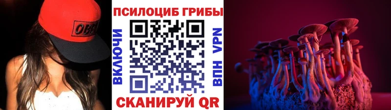 Купить где  Мыски  Псилоцибиновые грибы MAGIC MUSHROOMS 